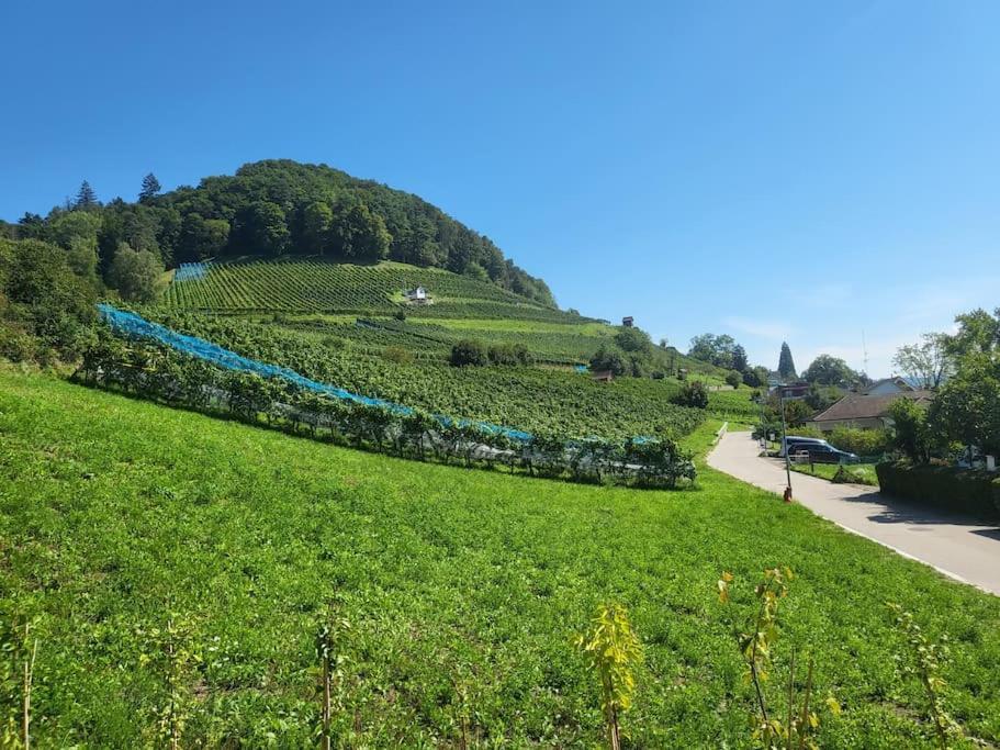 Schoene Einliegerwohnung 200M Vom Wasser Entfernt Stein Am Rhein Esterno foto